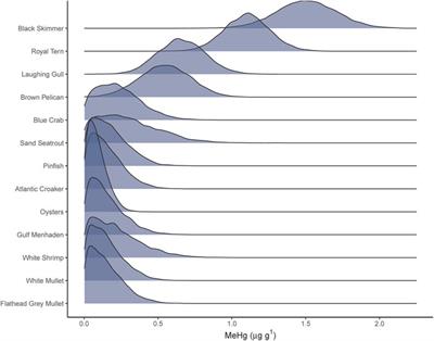 Mercury biomagnification in a coastal Louisiana food web following the 2010 Deepwater Horizon oil spill